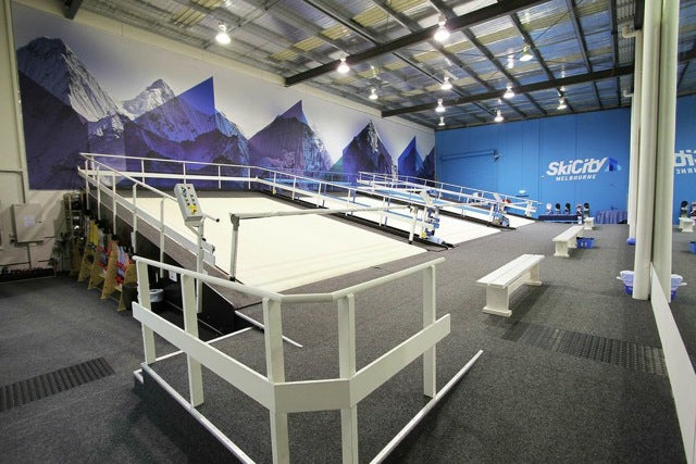 SkiMachine Treadmill Ski Machine