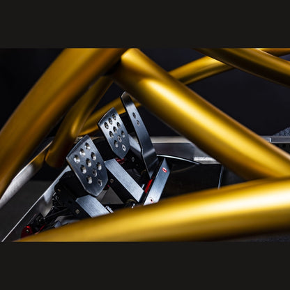 MOTUM True Motion Motorsport Racing Simulator