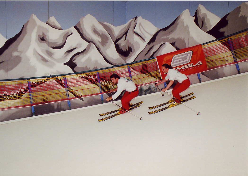 SkiMachine Disc Slope Ski Machine