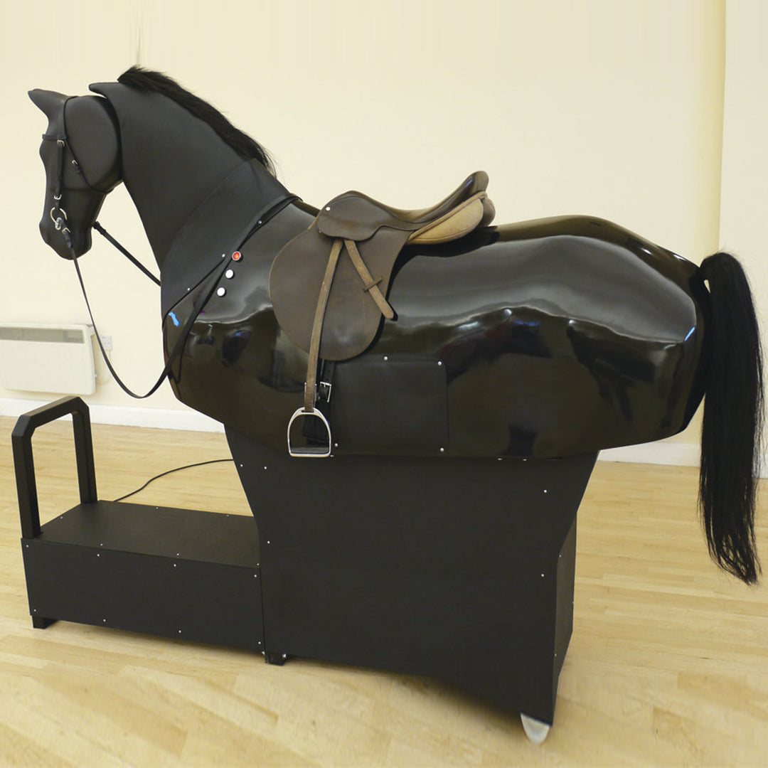 Racewood Riding Equestrian Simulator