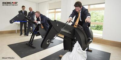 Racewood RS Racetrainer Racehorse Simulator