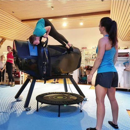 Racewood Vaulting Equestrian Simulator